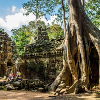 Tempio Ta Phrom Angkor Siem Reap